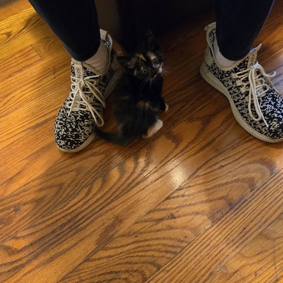 Meet your Posher, Nova - Picture 10 of 11